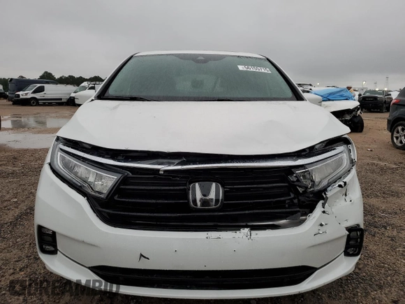 2024 Honda Odyssey EX-L with VIN 5FNRL6H66RB069509, listed as a Copart auction lot 56155715 with 3,341 mi miles and Salvage Title. Bid and sale history available at DreamBid. Image 5.