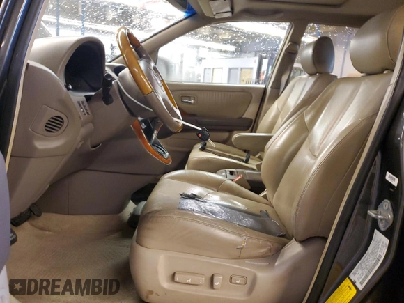 2002 Lexus RX 300 with VIN JTJHF10U220289134, listed as a Copart auction lot 77976464 with 0 mi miles and Salvage Title. Bid and sale history available at carsss.com. Image 7.