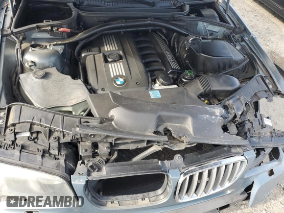 2010 BMW X3 xDrive30i with VIN WBXPC9C49AWJ34628, listed as a Copart auction lot 53161415 with 174,174 mi miles and Salvage Title. Bid and sale history available at DreamBid. Image 11.