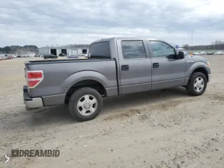 2010 Ford F-150 XL with VIN 1FTEW1C89AFA68212, listed as a Copart auction lot 47641185 with 313,339 mi miles and Clean Title. Bid and sale history available at carsss.com. Image 3.