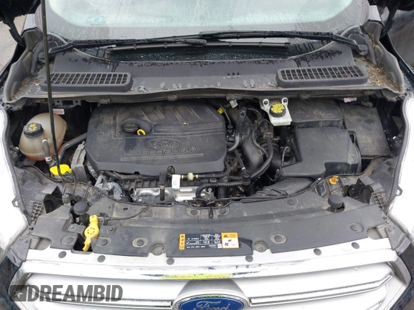 2017 Ford Escape SE with VIN 1FMCU9GD9HUB45195, listed as a IAAI auction lot 41916930 with 126,084 mi miles. Bid and sale history available at carsss.com. Image 10.