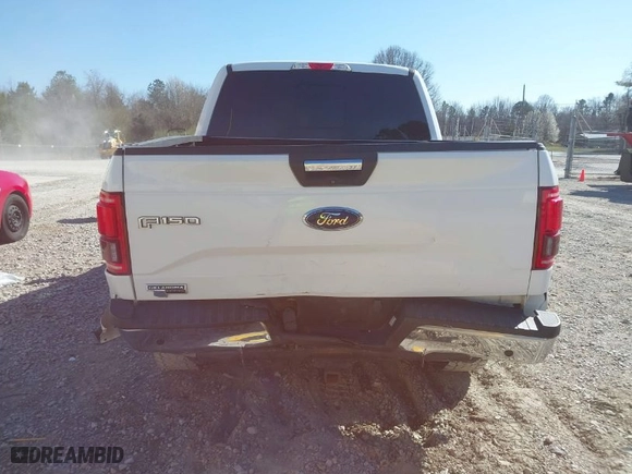 2017 Ford F-150 XL with VIN 1FTEW1EF8HKE14134, listed as a IAAI auction lot 41770796 with 136,017 mi miles. Bid and sale history available at carsss.com. Image 16.