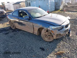 2016 BMW 2 Series 228i with VIN WBA1F9C52GV545125, listed as a IAAI auction lot 41692429 with 89,183 mi miles. Bid and sale history available at carsss.com. Image 1.
