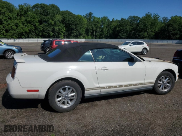 2005 Ford Mustang Deluxe with VIN 1ZVFT84N755194037, listed as a Copart auction lot 61485405 with Not provided miles and Salvage title. Bid and sale history available at DreamBid. Image 3.