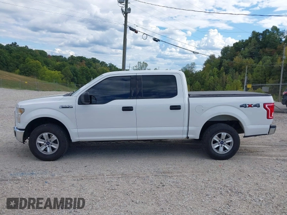 2015 Ford F-150 XLT with VIN 1FTEW1EF5FFB13987, listed as a IAAI auction lot 40377116 with 186,029 mi miles. Bid and sale history available at carsss.com. Image 14.