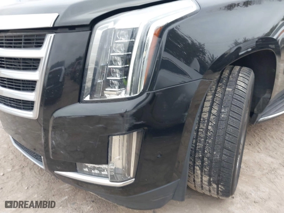 2018 Cadillac Escalade Luxury with VIN 1GYS4BKJ3JR143952, listed as a IAAI auction lot 41333902 with 124,265 mi miles. Bid and sale history available at carsss.com. Image 18.