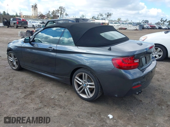 2016 BMW 2 Series 228i xDrive with VIN WBA1L9C5XGV767324, listed as a IAAI auction lot 41795604 with 133,276 mi miles. Bid and sale history available at carsss.com. Image 3.