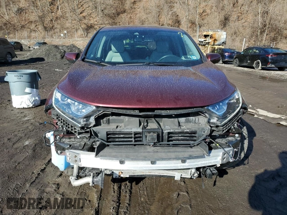 2019 Honda CR-V EX-L with VIN 7FARW2H89KE025788, listed as a Copart auction lot 46283485 with 49,012 mi miles and Salvage Title. Bid and sale history available at carsss.com. Image 5.