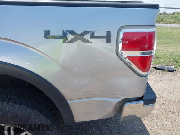2010 Ford F-150 XL with VIN 1FTEX1E87AFD31629, listed as a IAAI auction lot 42111965 with 174,038 mi miles and . Bid and sale history available at DreamBid. Image 6.