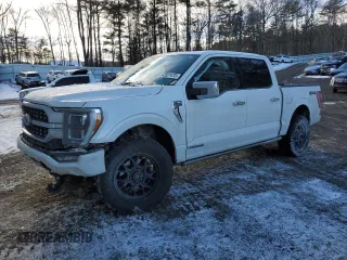 2021 Ford F-150 XL with VIN 1FTFW1E11MFB18030, listed as a Copart auction lot 42501475 with 73,582 mi miles and Salvage title. Bid and sale history available at DreamBid. Image 1.