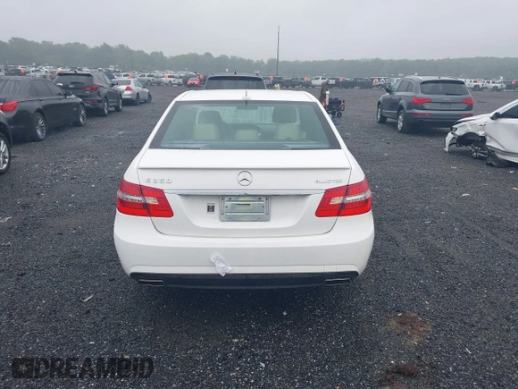 2013 Mercedes-Benz E 350 Luxury with VIN WDDHF2EB9DA730342, listed as a IAAI auction lot 42504810 with 131,083 mi miles and . Bid and sale history available at DreamBid. Image 16.