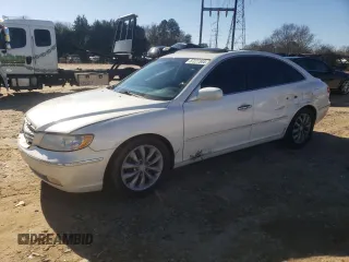 2006 Hyundai Azera SE with VIN KMHFC46F46A134061, listed as a Copart auction lot 87227344 with 224,496 mi miles and Salvage Title. Bid and sale history available at DreamBid. Image 1.