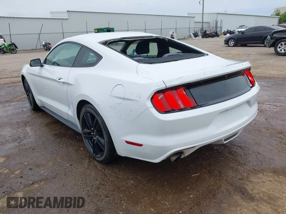 2017 Ford Mustang EcoBoost with VIN 1FA6P8TH5H5219983, listed as a IAAI auction lot 42161797 with 100,423 mi miles and . Bid and sale history available at DreamBid. Image 3.