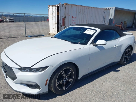 2024 Ford Mustang EcoBoost с VIN 1FAGP8UH3R5134242, выставлен на аукционе IAAI как лот 42626535 с пробегом 33 755 миль миль и . История ставок и продаж доступна на DreamBid. Изображение 2.