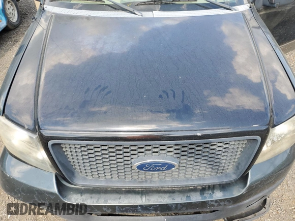 2005 Ford F-150 XLT with VIN 1FTPX12555NA02250, listed as a Copart auction lot 55414295 with Not Provided miles and Salvage Title. Bid and sale history available at carsss.com. Image 11.