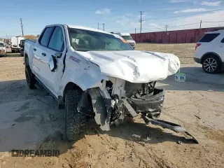 2021 Chevrolet Silverado 1500 Custom Trail Boss with VIN 1GCPYCEF2MZ280981, listed as a Copart auction lot 49270005 with Not Provided miles and Salvage Title. Bid and sale history available at DreamBid. Image 10.