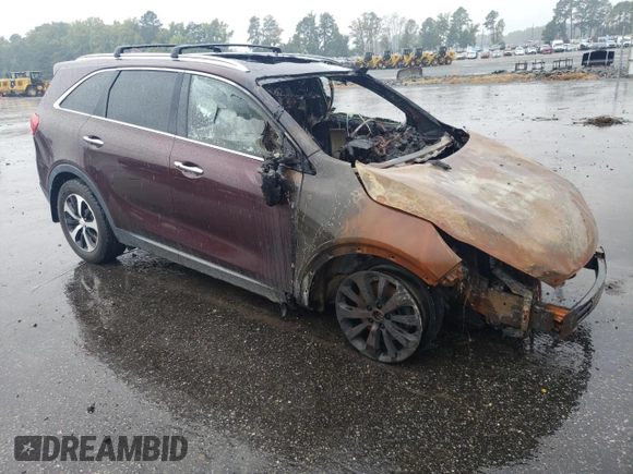 2016 Kia Sorento EX with VIN 5XYPH4A52GG123215, listed as a Copart auction lot 67654034 with Not Provided miles and Salvage Title. Bid and sale history available at DreamBid. Image 4.