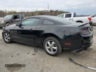 2013 Ford Mustang V6 with VIN 1ZVBP8AM7D5207785, listed as a Copart auction lot 80505444 with 180,901 mi miles and Salvage title. Bid and sale history available at DreamBid. Image 2.
