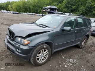2006 BMW X5 3.0i with VIN 5UXFA13586LY43146, listed as a Copart auction lot 66535094 with 183,785 mi miles and Salvage Title. Bid and sale history available at carsss.com. Image 1.