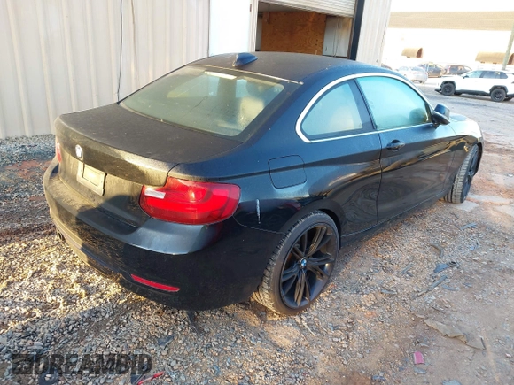 2015 BMW 2 Series 228i with VIN WBA1F5C55FV256604, listed as a IAAI auction lot 41841754 with 118,354 mi miles. Bid and sale history available at carsss.com. Image 4.