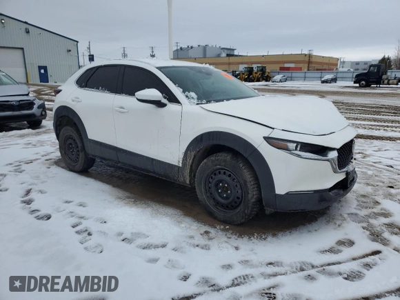 2021 Mazda CX-30 Preferred with VIN 3MVDMBCL2MM244256, listed as a Copart auction lot 44187995 with Not Provided miles and Salvage Title. Bid and sale history available at DreamBid. Image 4.