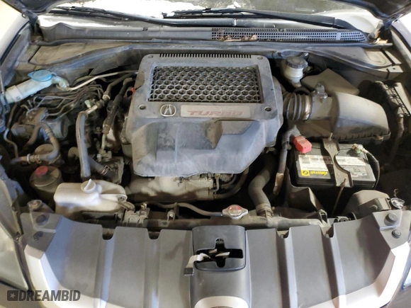 2009 Acura RDX with VIN 5J8TB18289A003613, listed as a Copart auction lot 88663335 with 113,992 mi miles and Salvage Title. Bid and sale history available at carsss.com. Image 11.