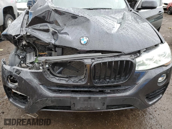 2017 BMW X4 xDrive28i with VIN 5UXXW3C52H0T78630, listed as a Copart auction lot 48463493 with 63,814 mi miles. Bid and sale history available at carsss.com. Image 12.