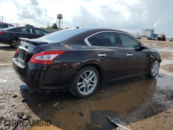 2011 Nissan Maxima SV with VIN 1N4AA5AP1BC836885, listed as a Copart auction lot 61853345 with 175,975 mi miles and Salvage title. Bid and sale history available at DreamBid. Image 3.