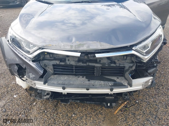 2019 Honda CR-V LX with VIN 5J6RW6H34KL005317, listed as a IAAI auction lot 41225711 with 59,166 mi miles. Bid and sale history available at carsss.com. Image 6.