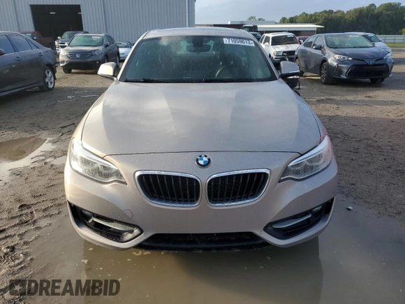 2016 BMW 2 Series 228i with VIN WBA1F9C50GV742181, listed as a Copart auction lot 71059013 with 109,252 mi miles. Bid and sale history available at carsss.com. Image 5.
