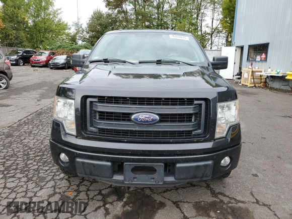 2013 Ford F-150 XL with VIN 1FTEX1CM0DKD75533, listed as a Copart auction lot 76499874 with 183,443 mi miles and Salvage Title. Bid and sale history available at carsss.com. Image 5.
