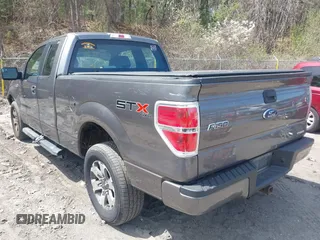 2013 Ford F-150 XL with VIN 1FTFX1EFXDFD87216, listed as a IAAI auction lot 42070988 with 153,676 mi miles. Bid and sale history available at carsss.com. Image 3.