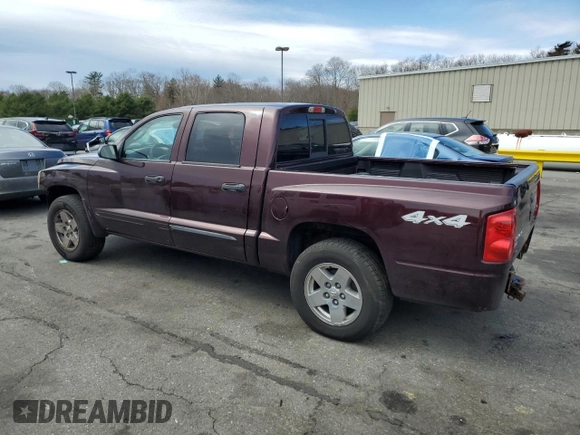 2005 Dodge Dakota SLT with VIN 1D7HW48N95S167516, listed as a Copart auction lot 49378105 with Not Provided miles and Salvage Title. Bid and sale history available at DreamBid. Image 2.