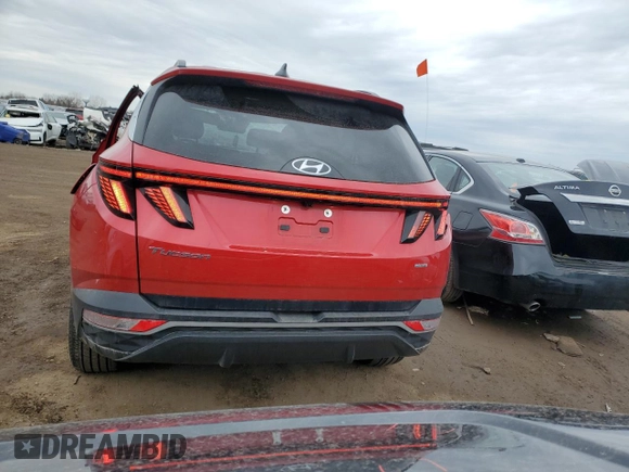 2023 Hyundai Tucson SEL with VIN 5NMJFCAE2PH264958, listed as a Copart auction lot 50922015 with 34,240 mi miles and Salvage Title. Bid and sale history available at DreamBid. Image 6.