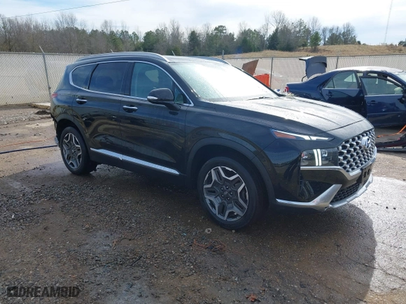 2021 Hyundai Santa Fe Limited with VIN 5NMS44AL3MH317127, listed as a IAAI auction lot 41355042 with 46,790 mi miles. Bid and sale history available at carsss.com. Image 1.