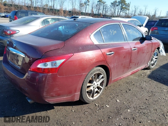 2010 Nissan Maxima SV с VIN 1N4AA5AP4AC812997, выставлен на аукционе IAAI как лот 41657107 с пробегом Не указан миль и . История ставок и продаж доступна на DreamBid. Изображение 4.