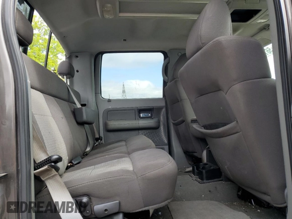 2006 Ford F-150 XLT with VIN 1FTRW14W46FB70667, listed as a Copart auction lot 56128325 with 290,673 mi miles and Clean title. Bid and sale history available at DreamBid. Image 10.