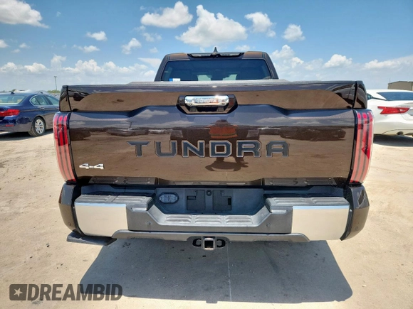 2022 Toyota Tundra Limited Hybrid with VIN 5TFJC5EC3NX001878, listed as a Copart auction lot 64201395 with 24,607 mi miles and Clean title. Bid and sale history available at DreamBid. Image 6.