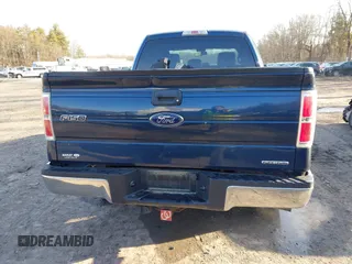2013 Ford F-150 XL with VIN 1FTEX1EM4DFD51564, listed as a IAAI auction lot 41778412 with 192 mi miles. Bid and sale history available at carsss.com. Image 16.