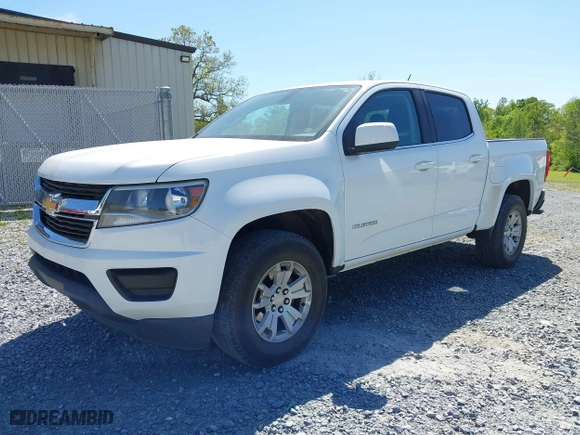2019 Chevrolet Colorado 2WD LT with VIN 1GCGSCEN6K1124642, listed as a IAAI auction lot 42065426 with 205,608 mi miles. Bid and sale history available at carsss.com. Image 17.