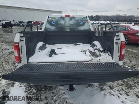 2018 Ford F-150 XL with VIN 1FTMF1EB9JFE54679, listed as a Copart auction lot 45195615 with 119,117 mi miles and Salvage title. Bid and sale history available at DreamBid. Image 10.