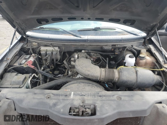 2005 Ford F-150 STX with VIN 1FTRX14W25FA62950, listed as a Copart auction lot 64290195 with 290,608 mi miles and Clean title. Bid and sale history available at DreamBid. Image 11.
