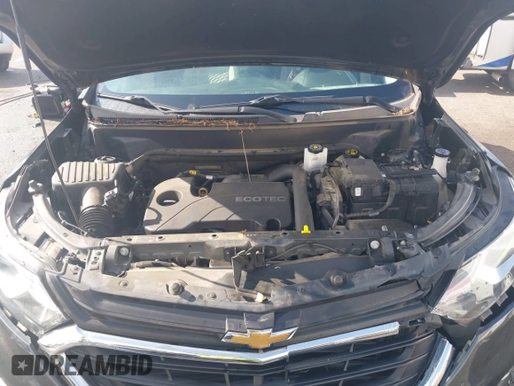 2019 Chevrolet Equinox LS z VIN 2GNAXHEV9K6146286, wystawiony jako IAAI lot #42101137 z przebiegiem 85 098 mil mil oraz . Historia ofert i sprzedaży dostępna na DreamBid. Obrazek 10.