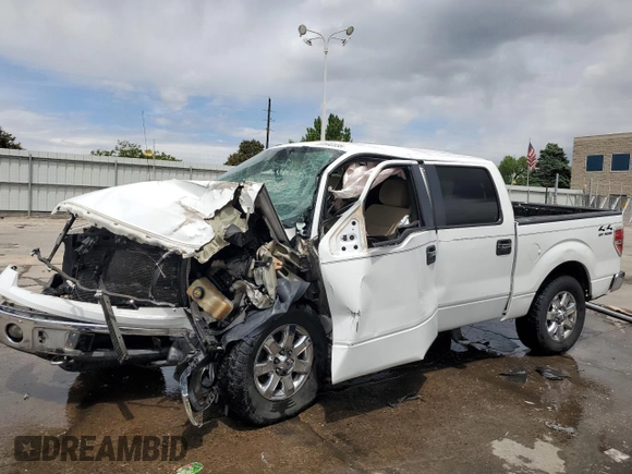 2013 Ford F-150 XL with VIN 1FTFW1EF0DKD36740, listed as a Copart auction lot 57592335 with Not provided miles and Non repairable. Bid and sale history available at DreamBid. Image 1.