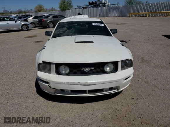 2009 Ford Mustang GT with VIN 1ZVHT82H995140721, listed as a Copart auction lot 60673295 with 96,595 mi miles and Salvage title. Bid and sale history available at DreamBid. Image 5.