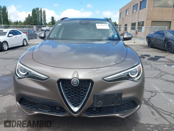 2019 Alfa Romeo Stelvio z VIN ZASPAJAN2K7C48523, wystawiony jako IAAI lot #42246378 z przebiegiem 46 546 mil mil oraz . Historia ofert i sprzedaży dostępna na DreamBid. Obrazek 12.