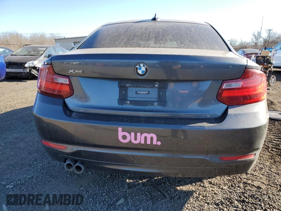2015 BMW 2 Series 228i xDrive with VIN WBA1F7C57FVX96239, listed as a Copart auction lot 88178475 with 93,127 mi miles and Salvage Title. Bid and sale history available at carsss.com. Image 6.