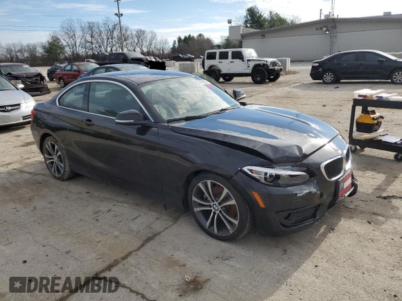 2016 BMW 2 Series 228i with VIN WBA1F9C56GV546309, listed as a Copart auction lot 81612093 with 80,954 mi miles. Bid and sale history available at carsss.com. Image 4.