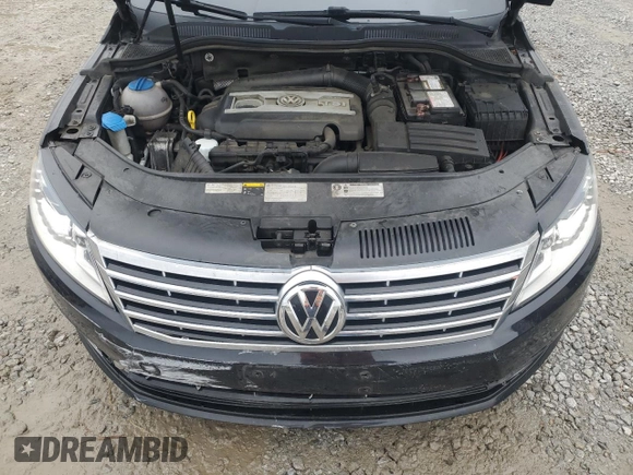 2014 Volkswagen CC R-Line with VIN WVWBP7AN3EE533333, listed as a Copart auction lot 66396174 with 124,323 mi miles and Clean Title. Bid and sale history available at carsss.com. Image 11.