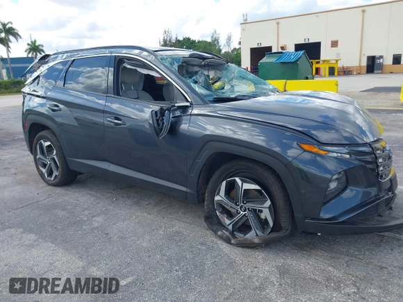 2024 Hyundai Tucson Limited with VIN 5NMJECDE7RH359453, listed as a IAAI auction lot 42552239 with 32,950 mi miles and . Bid and sale history available at DreamBid. Image 1.